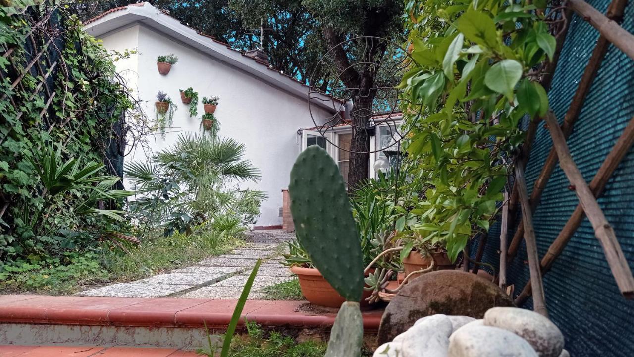Villetta La Gabbianella Ливорно Екстериор снимка